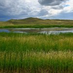 A sandhills wetland photographed in Cherry County