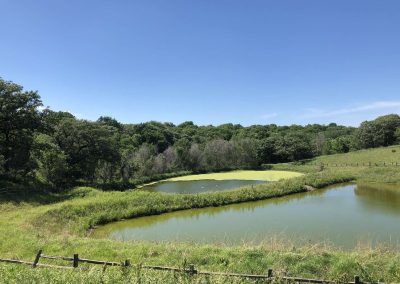 1033573161302644486894864854287831360721870o Nebraska Directory